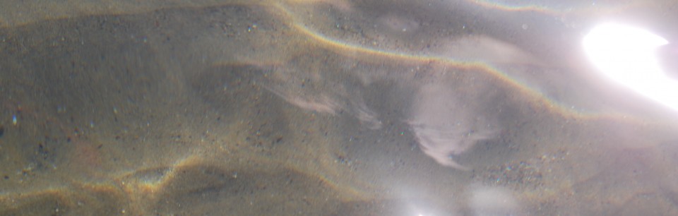 BARATTI SETT 2010 092