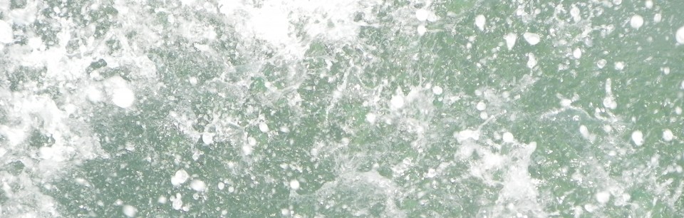 DSCN2031
