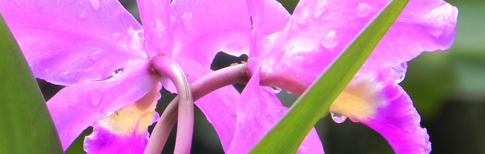 DSCN3535 DSCN3535