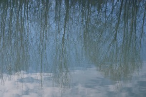 riflessi fiume